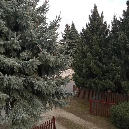 Borostyan Vendeghaz *