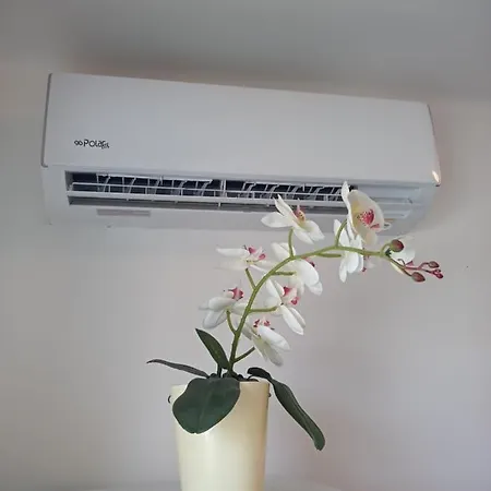 Borostyán Apartamento *